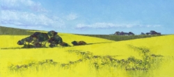 Canola Fields near Philadelphia, Western Cape II | 2021 | Oil on Canvas | 30 x 60 cm